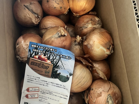 【特別価格】【訳あり】淡路島産玉ねぎ5kg