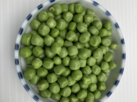 豆のみ】グリーンピース200g×3袋：岐阜県産のグリーンピース｜食べ