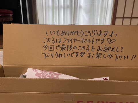 【球根生産中止商品】■ファイヤーボルト5本束■F.F.HIRAIDEのコーポレートリリーとしていた子が遂に今回で最後になってしまいました(/ω＼)見納めです。