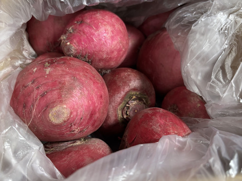 【農薬・化学肥料不使用】MOA自然農法で育った赤かぶ　2kg