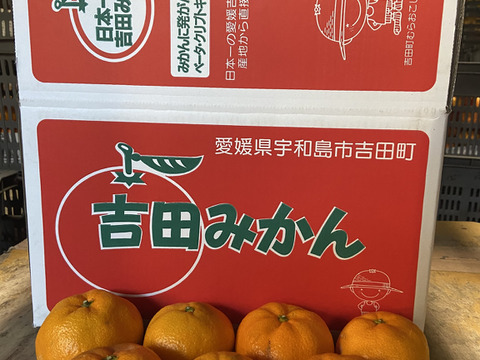 コタツにミカンの定番！南柑２０号の【おおだま】（３Lサイズ）５kg