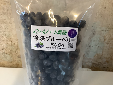 知多半島産【冷凍ブルーベリー500g】：愛知県産のブルーベリー