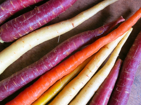 【彩り鮮やか細美がおしゃれ】京都産バーニャカウダ人参　1kg（約20本以上）