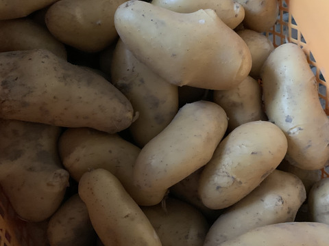 新じゃが4kg🥔淡路島からの新ジャガイモ〜メークイン