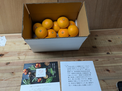 ゼリーの食感「愛媛マドンナ」愛媛県産3kg