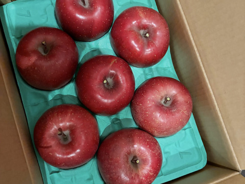 【サンふじ3kg】鰹と海藻のエキスでコク！旨っ！全面真っ赤々！完熟サンふじ【秀品】