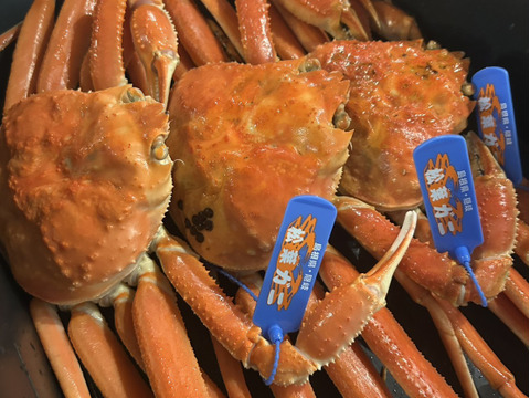【限定5杯のみ！早いもの勝ち！】
高級　松葉ガニ　タグ付き