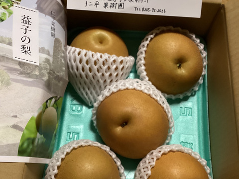 ※訳あり※ 栃木県ブランド梨 にっこり 3㎏