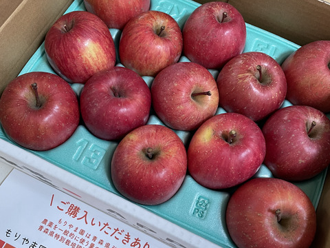 低農薬で皮ごとガブり！赤りんご小玉サイズ🍎2kg 家庭用丸かじりサイズ【小玉りんご】