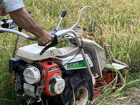 【令和６年産新米】稀少米★朝日白米10kg・天日干し自然栽培