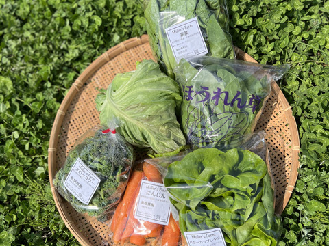 【母の日💐】【有機JAS認証取得】安心島育ち🌱旬の野菜セット4〜5種類🥬🥕🥦✨🌱Happy Mother's Day ! Organic Vegetables set