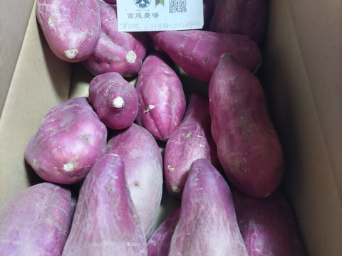 ほくほく食感と上品な甘さ！なると金時(訳あり)5kg