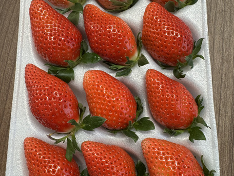 【完熟】JGAP認証食べ比べ2品種セット(2パック入り)千葉県産