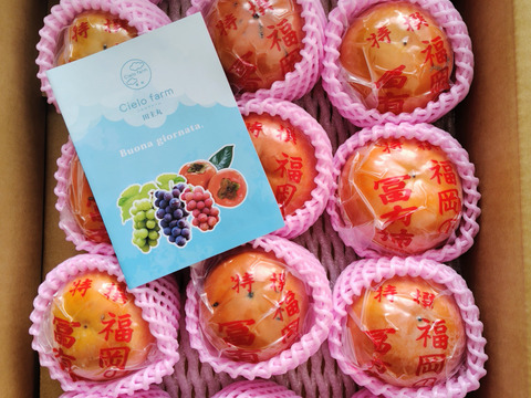 【ご家庭用（『小玉！』・少々キズあり）】冷蔵柿（富有柿）15個前後入り　福岡県久留米市田主丸町産