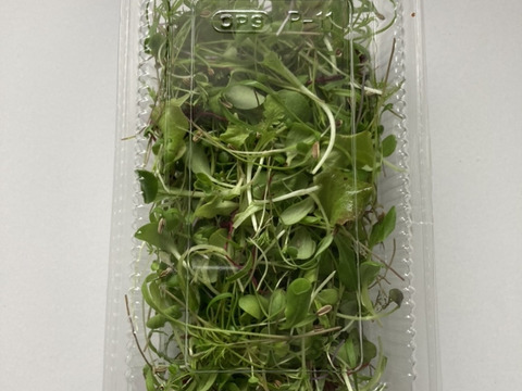 【福袋】マイクロリーフMIX20g・マイクロハーブ単品6種/各2g・エディブルフラワーミックス20輪　セット