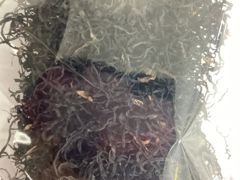 2年ぶり訳ありひじき120ｇ鉄釜炊き倉橋島のひじきをもっと知っていただくために訳ありBランク４０ｇ2袋Cランク４０ｇ限定20セット【食べ比べ】【すぐ発送】お一人2個まで