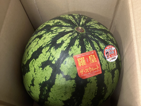 特大スイカ　大玉　10㌔以上　羅皇ザスイート