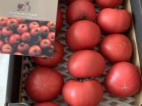 【北海道産】🍅樹上熟3段採り🍅桃太郎トマト2kg箱〈訳あり品〉