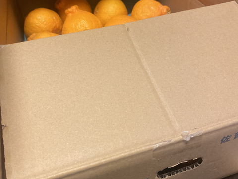 📢早期予約割引10%オフ📢【🥇みかん柑橘グランプリ2026不知火賞＆サクあま賞W受賞】柑橘の王様ハウス不知火 約4.5kg