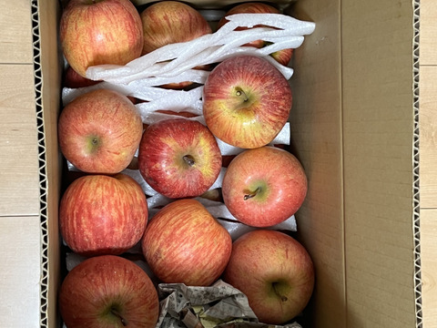 蜜入りも!! りんご 家庭用★サンふじ 約5キロ (10〜20玉) ★農薬節減りんご 訳あり ご自宅用