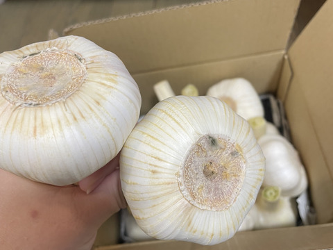 2026年産◇新にんにく◇農薬·化成肥料不使用：兵庫県産の野菜｜食べ