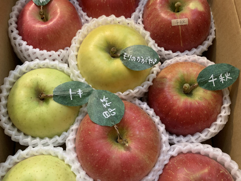 お気に入りの 冬ギフト】 🍎家庭用5品種詰め合わせ🍎3キロ おまかせ 商品 果物