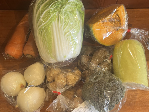 ♪人気商品♪『農薬、化学肥料不使用』【2~3人前】
季節の野菜Sセット（8-9品）「群馬県高崎産」