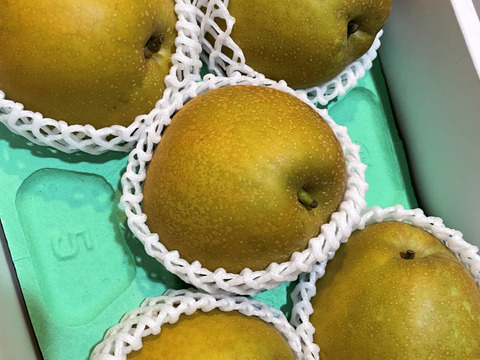 激甘！激うま！梨の甘味王【甘太】