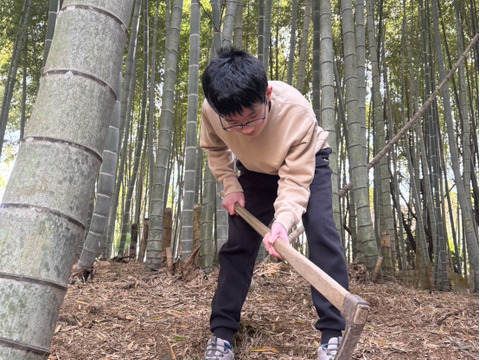 【お買い得商品】朝掘タケノコ〜大きいタケノコ4㎏（3〜5本）