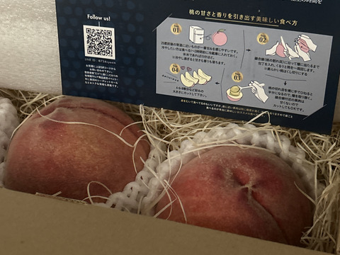 【7月下旬予約桃】日テレニノさん話題沸騰！ココでしか食べれない桃通が好む本場山梨の味『硬甘桃』硬くても甘いという新常識朝どれシャキ桃☆約1キロ【お中元ギフト】