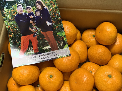 【食べチョクで１番売れてるみかんです！】夕やけみかん（5㎏）（圧倒的人気のみかんです！）