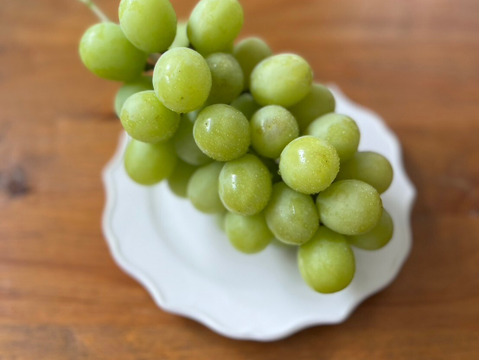 【厳選品】山形県産すとう農園のシャインマスカット（700~900g)1房