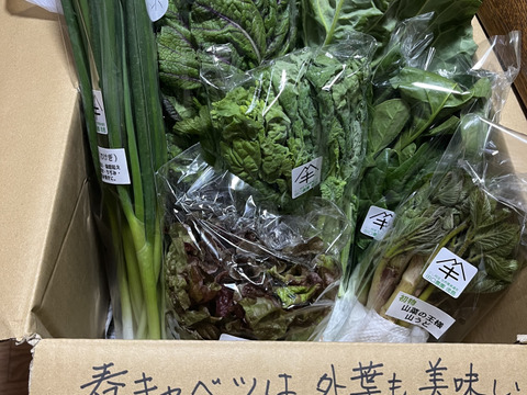 定期便設定（お届け日は２～３日前後します）【たっぷりいろいろ　２０００円セット】農家人が選ぶ旬野菜のおまかせセットです。季節ごとの旬の世界農業遺産ブランド野菜を厳選してお届け致します。