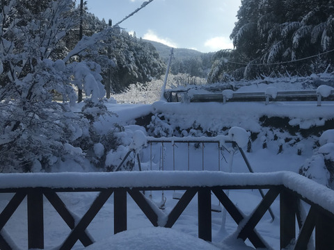 【激レア品種②】とにかく甘い‼️あきあかり梨約2.2kg(小玉8~9個入)✨️豊水・幸水より甘い!!キメ細かでとってもジューシー💦
日持ち良し‼️