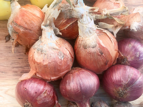 たっぷり野菜セット！幻のじゃがいも、玉ねぎ、キャベツ、きゅうり、農薬不使用