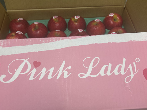 発送中🍎ピンクレディー®︎ 5キロ箱 16玉〜33玉サイズ 長野県 信州