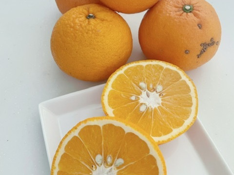 【残りわずか】農薬不使用甘夏・訳ありお得箱10kg♪