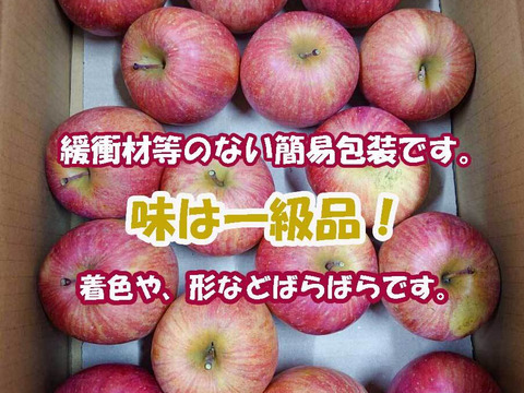 【今だけお買い得！訳あり★50%OFF★】家庭用葉とらずふじりんご3㎏【長野県産】