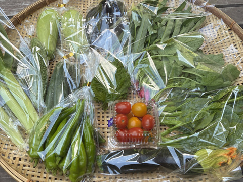 ギフトにも！小さな農家、旬のお野菜セット　10〜12品目＜農薬、化学肥料不使用＞【冬ギフト】