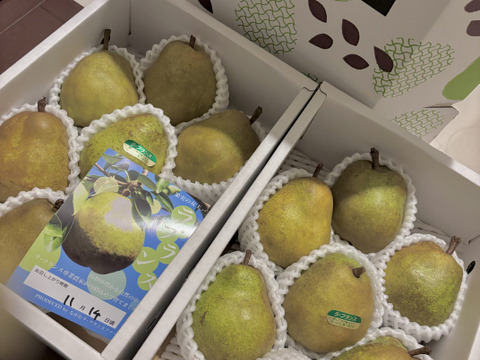 【２箱同梱】ラ・フランス🍐２ｋｇ ×２生ハム巻きオススメサイズの7玉入り