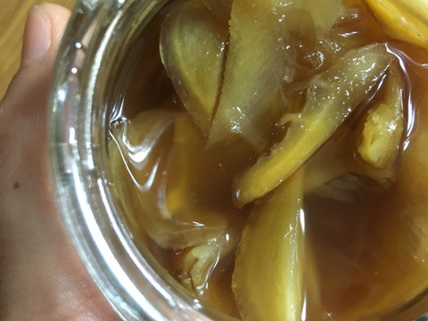 ジンジャーシロップに！温活に！旨さ引き立つピリ辛！新生姜（約1kg）