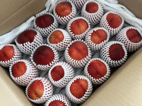 ネクタリン【メイグランド】家庭用(訳あり)約2.5kg(11-18玉)  7月中旬頃発送開始予定 丸かじりできる桃 家庭用です#NQM0B025