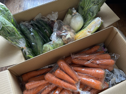 Sサイズ ＊旬野菜セット(約6~7品)【農薬：栽培期間中不使用