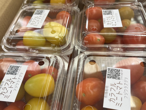 【期間限定】6月30日まで特別価格☆カラフルミニトマト3.5kg有機JAS認証☆