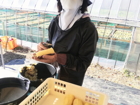 素朴な味わい！ ほしいも 【400g袋入り】 里山ファームの手づくり干しいも 茨城県産 紅はるか