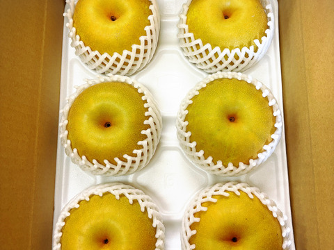 【PREMIUM幸水梨3kg】贈答用( 特大5~7個) 甘くてジューシー💦まるで梨ジュース🥤ひとつひとつ色付きを確認して樹上完熟で収穫😋特大梨の収穫量が増えました‼️
