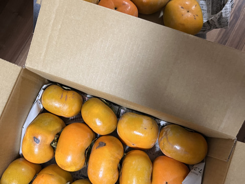 【送料500円引き】
🍁秋の恵み🍂《橋本ふるさと便》　
和歌山橋本の柿ご家庭用5キロ約20コ入り