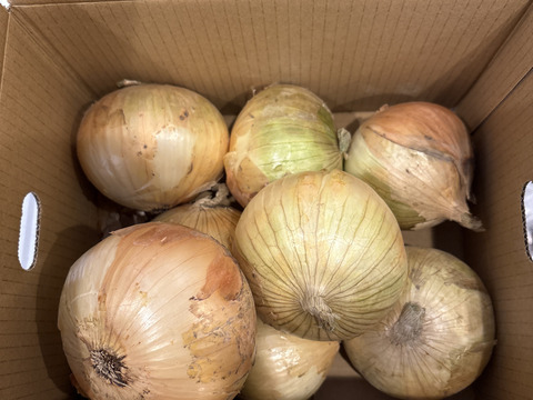 糖度９〜10度！! 甘い！！　淡路島スイートオニオン たまねぎ(2.5キロ)