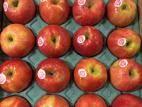 発送中🍎　ピンクレディー®︎ 家庭用B品 5キロ箱使用 長野県 信州 安曇野 リンゴ 幻 幻のリンゴ 予約 希少 旬 小キズあり 中玉〜小玉 商品ID23140 ピンクレディー