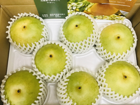 【とにかくシャキシャキ‼️】ゴールド二十世紀梨②✨️爽やかな甘みとシャキシャキジューシーで日持ち良し‼️贈答用約2.2kg(中玉7個入